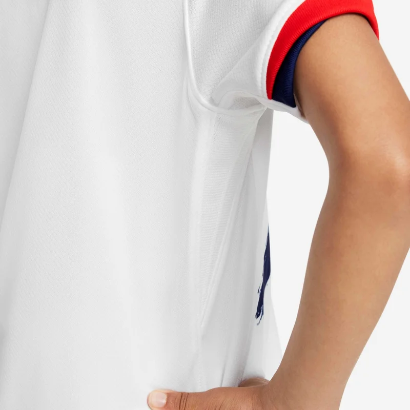 Nike White Paris Saint-Germain 2024/25 Stadium Away  | Best Price UAE