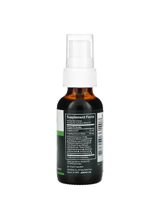 Gaia Herbs - Gaia Herbs, Throat Spray, Echinacea Goldenseal Propolis, 1 fl oz (30 ml) - Image 1