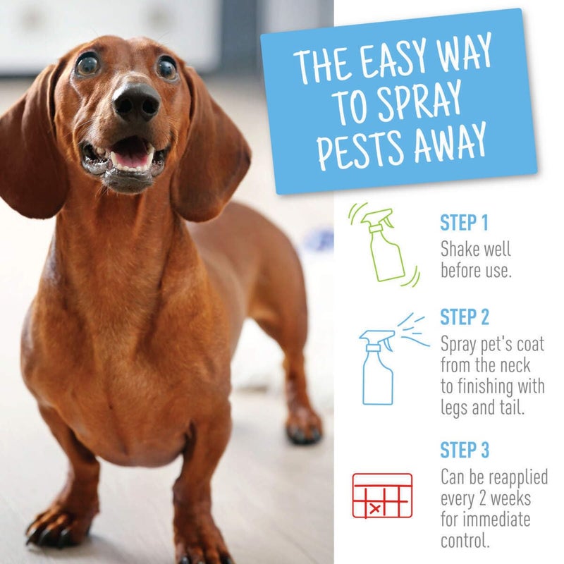 Adams Flea & Tick Spray Plus Precor 16 oz - Pack of 2 - Image 3