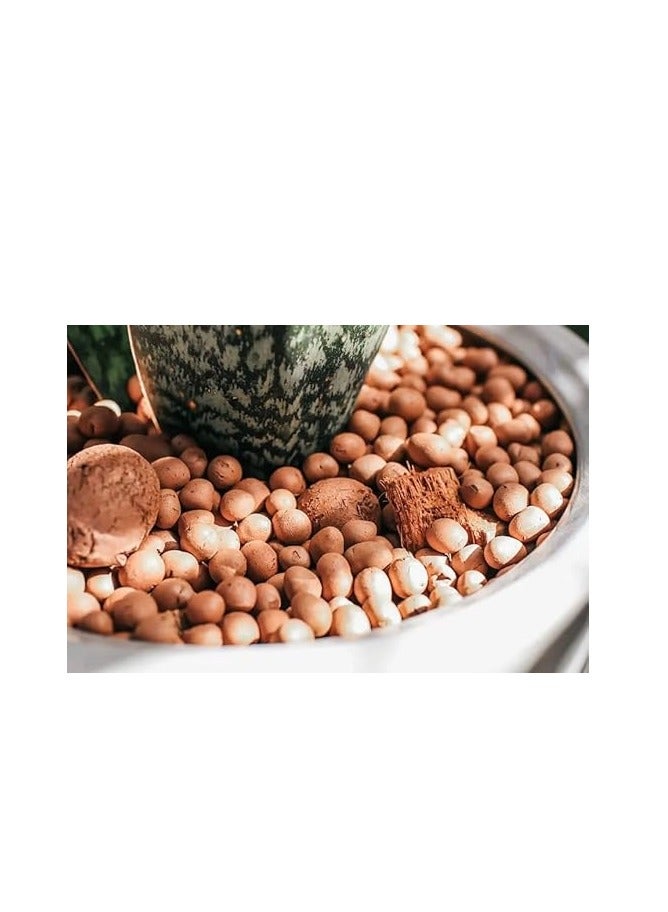 ستونز حصى طيني هيدروستون للنباتات كدعامة هيدروبونية للحفاظ على رطوبة التربة والتهوية 10 كجم - Image 2