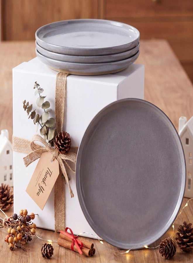 HASENSE Gray Dinner Plates Set of 4-10 Inch Ceramic Plates for Steak Pasta Salad and Kitchen, Large Porcelain Dishes - Microwave Dishwasher Oven Safe, Housewarming Gift - Image 4