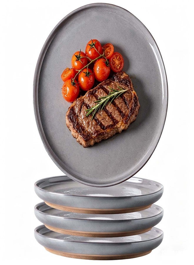 HASENSE Gray Dinner Plates Set of 4-10 Inch Ceramic Plates for Steak Pasta Salad and Kitchen, Large Porcelain Dishes - Microwave Dishwasher Oven Safe, Housewarming Gift - Image 1