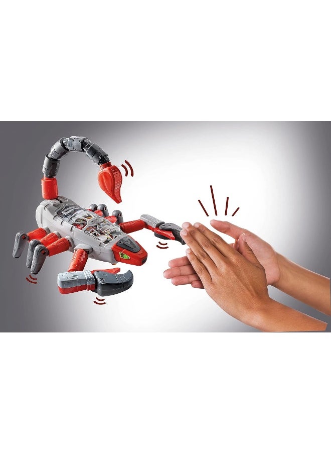Scorpion Robot