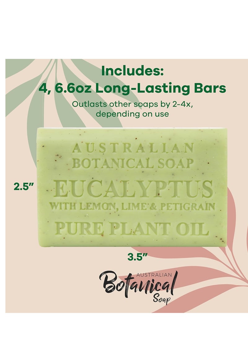 Australian Botanical Soap Eucalyptus with Lemon Lime and Petitgrain 6.6 oz Luxury Soap Bars Enriched with Shea Butter, Pack of 4