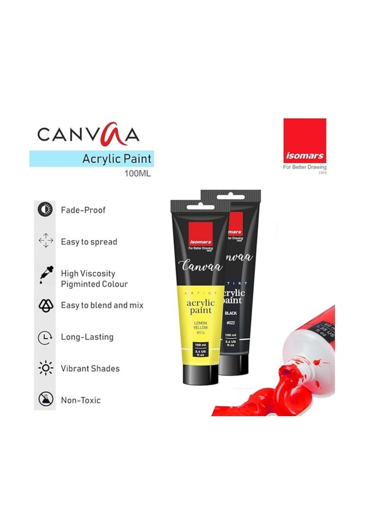 Isomers Canvaa Acrylic Paint 100ml Vibrant Pigmented & Fadeproof Colors - ARTIST SERIES - For Canvas Painting, Scrap Book, Paper Board, Wood & Terracotta Burnt Umber - Image 2