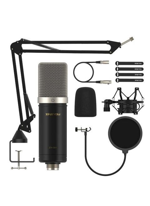ZY-CA1 XLR Condenser Kit ,Professional Microphone Cardioid Studio Recording Mic Kit with Boom Arm, Shock Mount, Pop Filter, Windscreen and Cable Ties for Podcast, Voice Over, Vocal, Streaming, YouTube