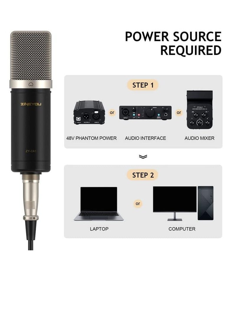 ZINGYOU ZY-CA1 XLR Condenser Kit ,Professional Microphone Cardioid Studio Recording Mic Kit with Boom Arm, Shock Mount, Pop Filter, Windscreen and Cable Ties for Podcast, Voice Over, Vocal, Streaming, YouTube  - Image 3