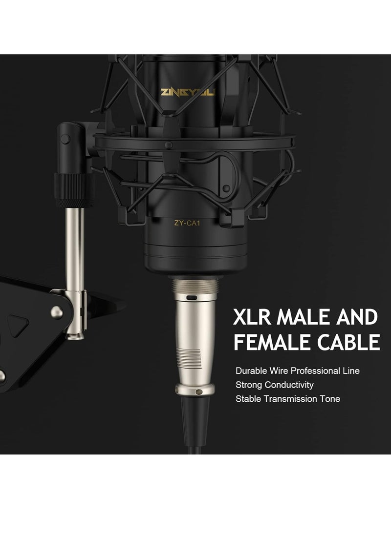 ZINGYOU ZY-CA1 XLR Condenser Kit ,Professional Microphone Cardioid Studio Recording Mic Kit with Boom Arm, Shock Mount, Pop Filter, Windscreen and Cable Ties for Podcast, Voice Over, Vocal, Streaming, YouTube  - Image 5