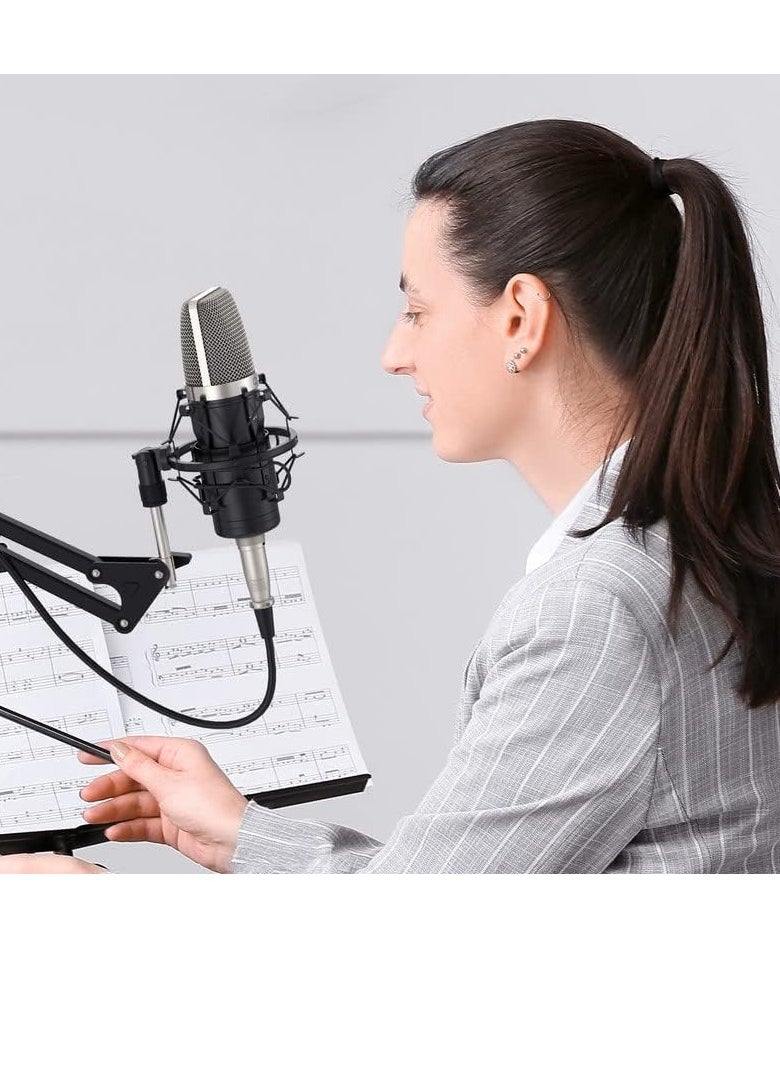 ZINGYOU - ZY-CA1 XLR Condenser Kit ,Professional Microphone Cardioid Studio Recording Mic Kit with Boom Arm, Shock Mount, Pop Filter, Windscreen and Cable Ties for Podcast, Voice Over, Vocal, Streaming, YouTube - Image 1
