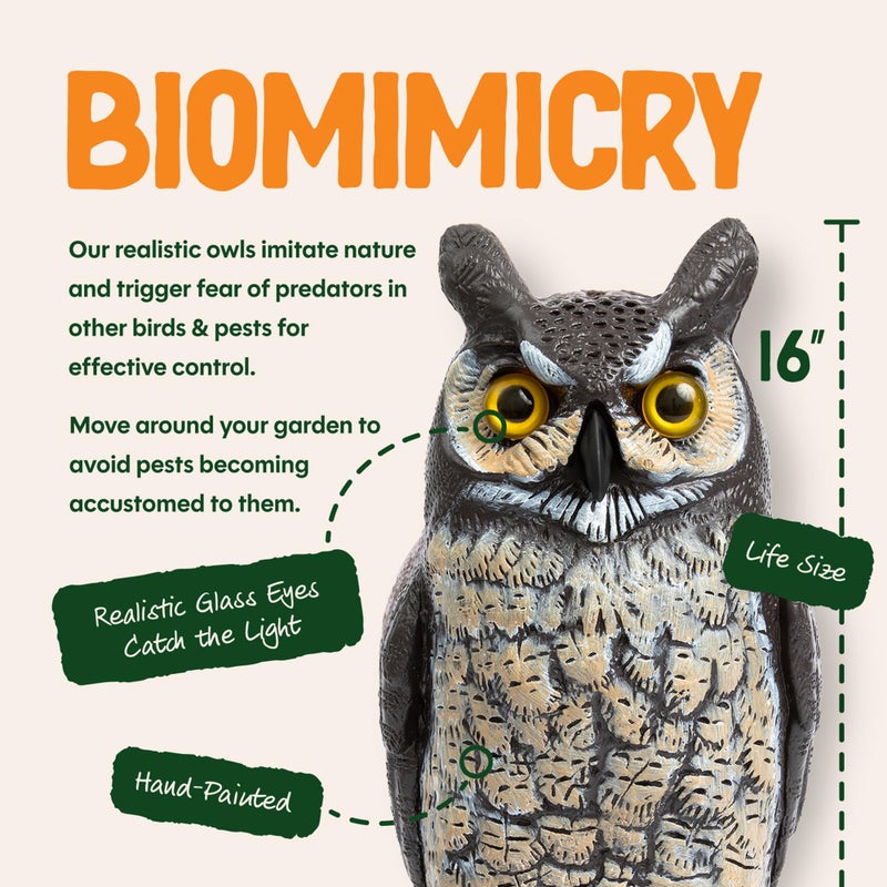 Dalen Large Fake Owl Decoy to Scare Birds Away - 16 in Hand-Painted Great Horned Owl Garden Scarecrow for Natural Pest Control - Fixed Head Design - Secure Upright by Filling with Sand/Gravel Only - Image 3
