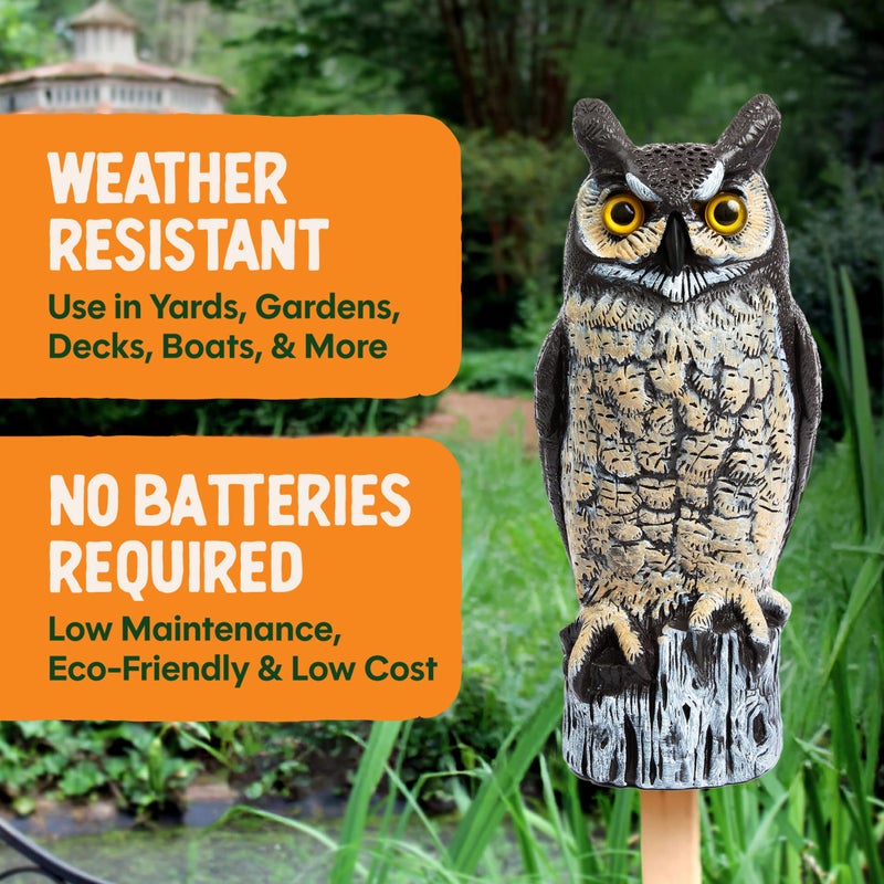 Dalen Large Fake Owl Decoy to Scare Birds Away - 16 in Hand-Painted Great Horned Owl Garden Scarecrow for Natural Pest Control - Fixed Head Design - Secure Upright by Filling with Sand/Gravel Only - Image 5