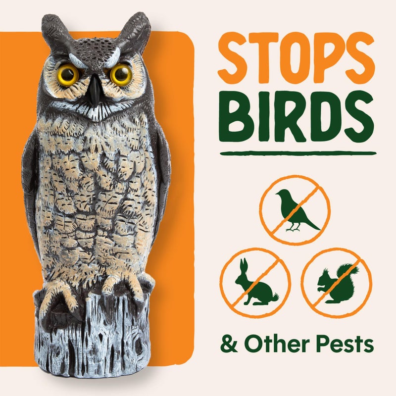 Dalen Large Fake Owl Decoy to Scare Birds Away - 16 in Hand-Painted Great Horned Owl Garden Scarecrow for Natural Pest Control - Fixed Head Design - Secure Upright by Filling with Sand/Gravel Only - Image 2