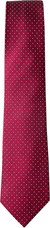 Young Arrow Men's Microfiber Pin Dot Necktie | Formal & Casual Wear – Soft Texture – Ideal for Office, Weddings, Parties (Maroon) - Image 4
