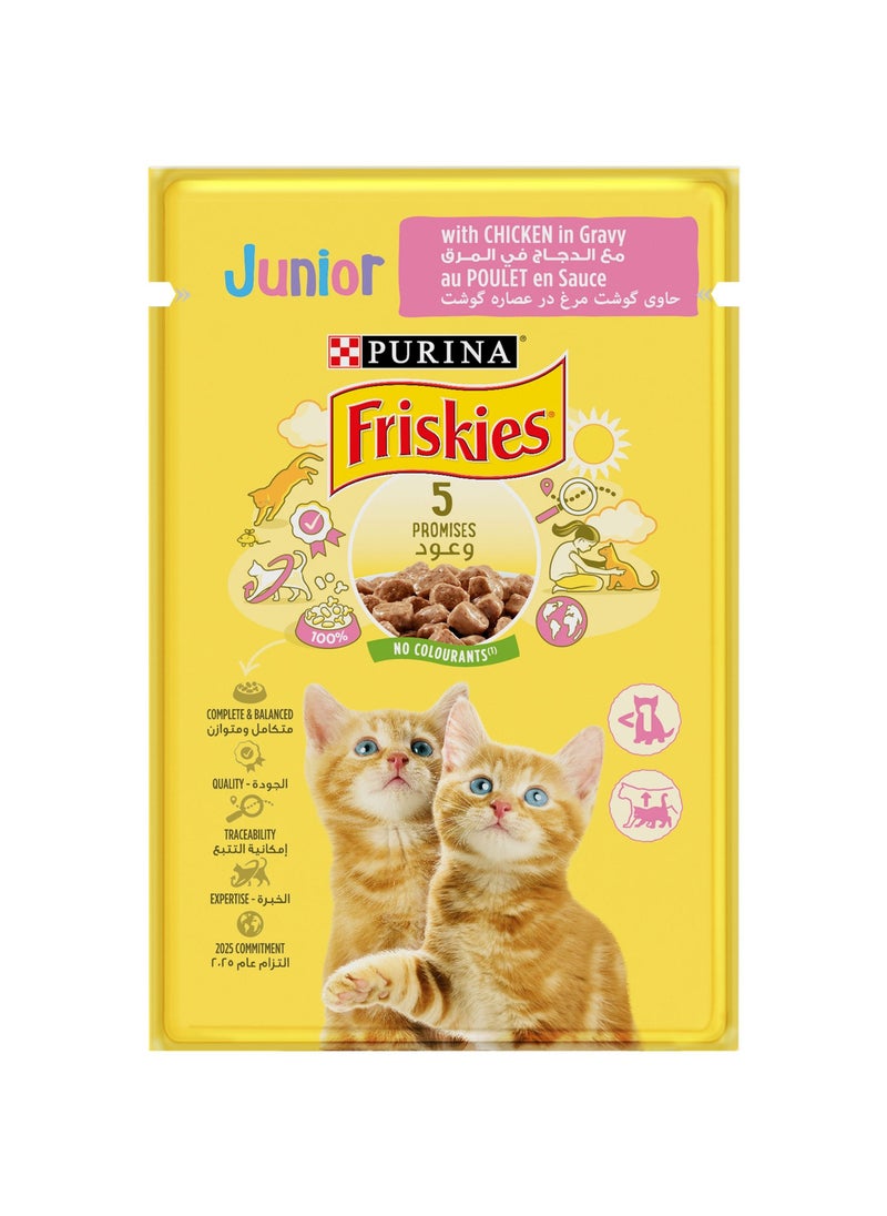 Friskies Kitten Chicken Chunks In Gravy Wet Cat Food Pouch 85G - pzsku/ZCAEEDE020EA4B54AEFFAZ/45/_/1683761068/197655bf-b9de-4804-86e7-9ec879e525a8