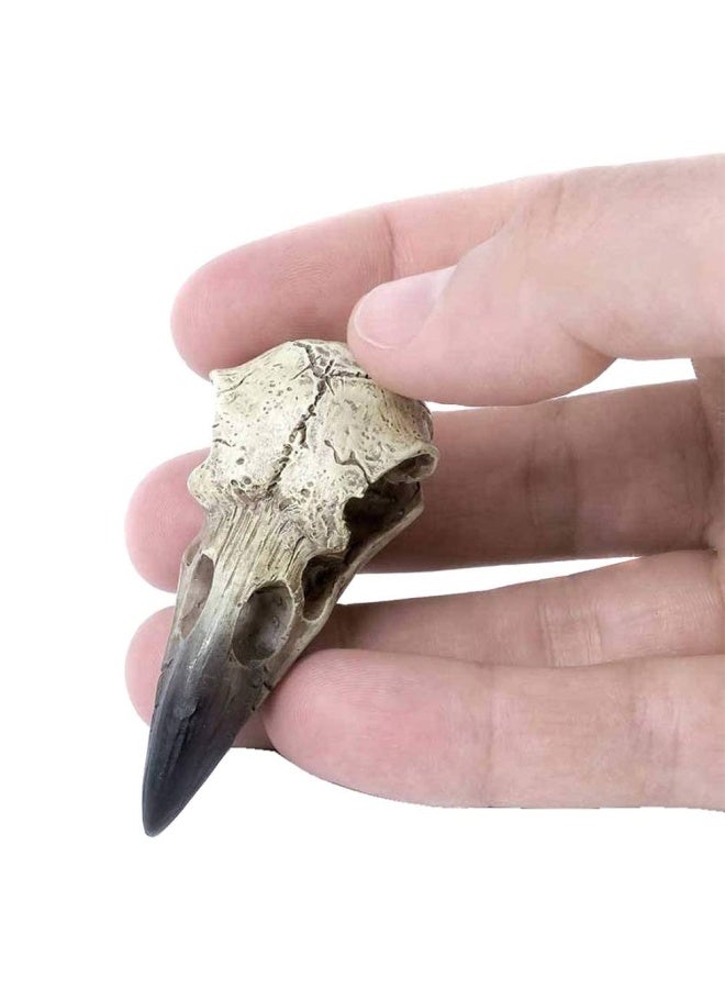 Alchemy Gothic The Vault V66 Reliquary Raven Skull Poly Resin - Image 2