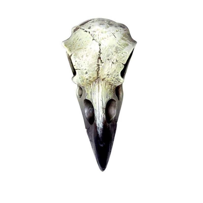 Alchemy Gothic The Vault V66 Reliquary Raven Skull Poly Resin - Image 1