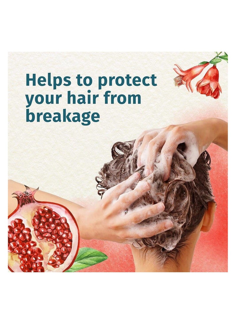 Herbal Essences Beautiful Ends With Pomegranate Shampoo - 400 ml - pzsku/ZCAF07F0559207D0BDDD0Z/45/_/1738179091/4222c6f6-57fd-411c-b376-86c6965d3a57