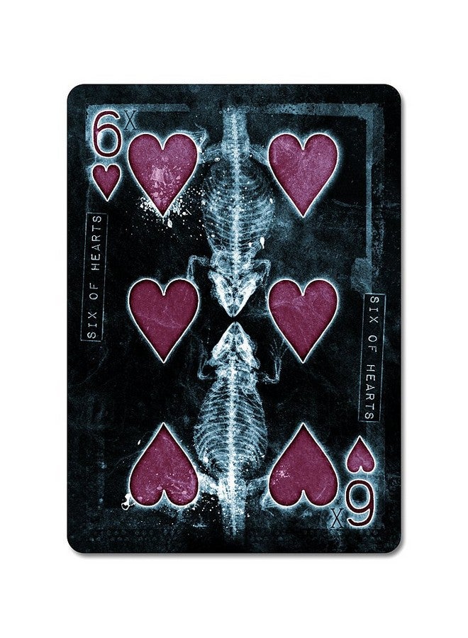 Bicycle USPCC Bicycle Karnival Xtreme Playing Cards (Ltd Ed) Big Blind Media - Image 5