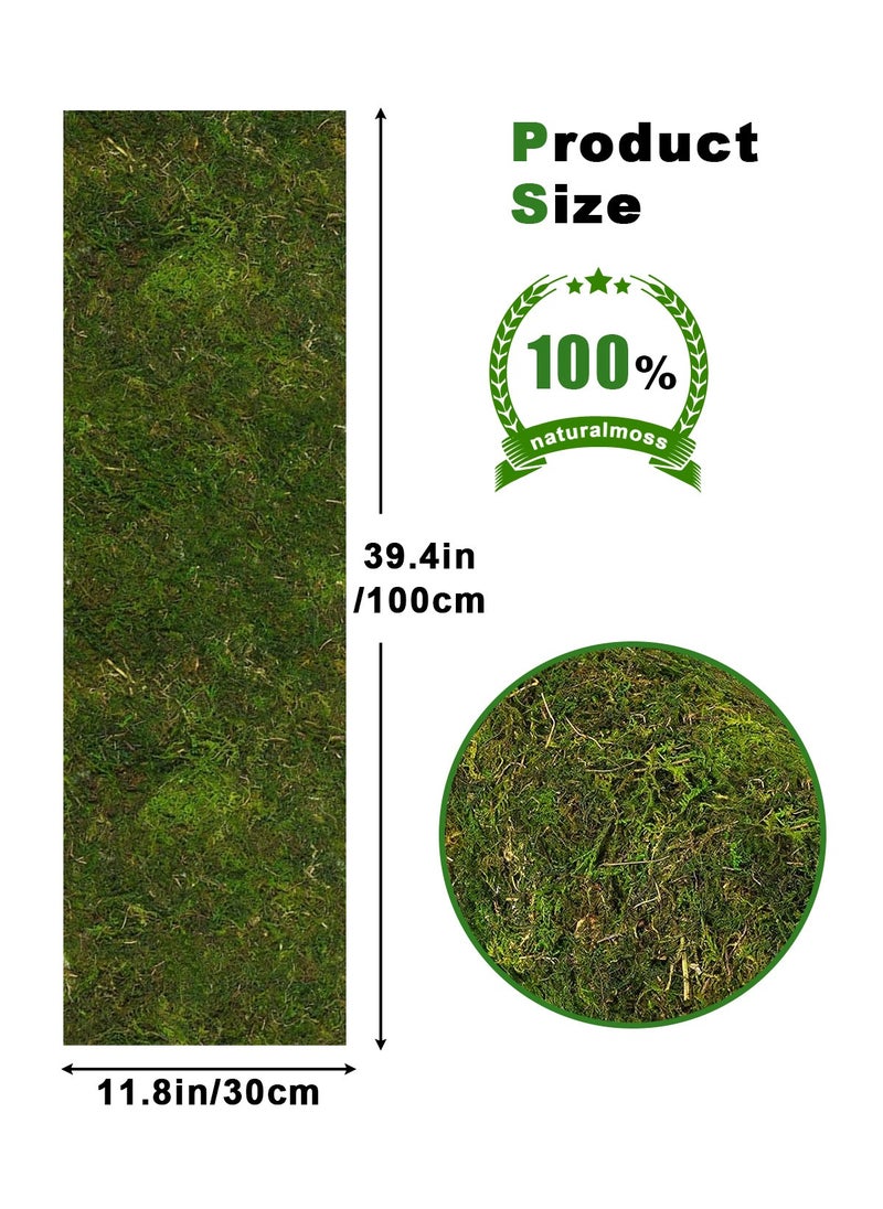 HomarKet Moss Roll, Dried Moss for Crafts, Moss Table Runner for Fairy Gardens, Wedding Woodland Decor, Preserved Moss Mat for Table Decoration (30X100CM/11.8X39.4INCH)  - Image 2