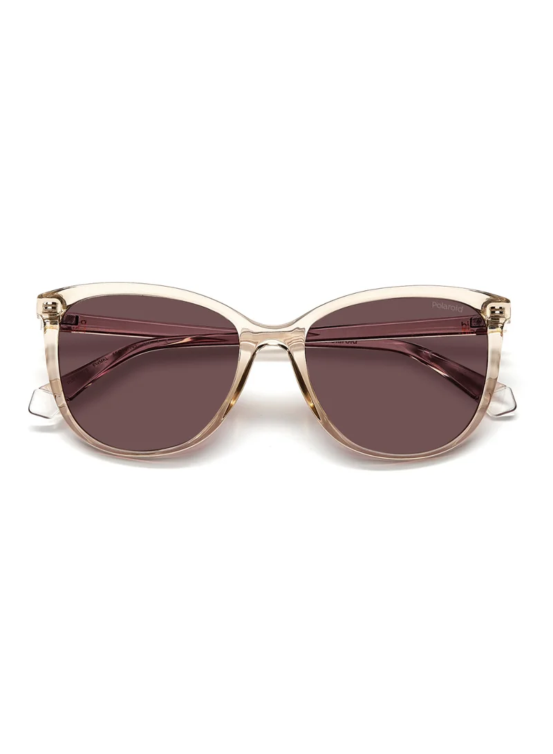 Polaroid Rectangular Polaroid Sunglasses Frames