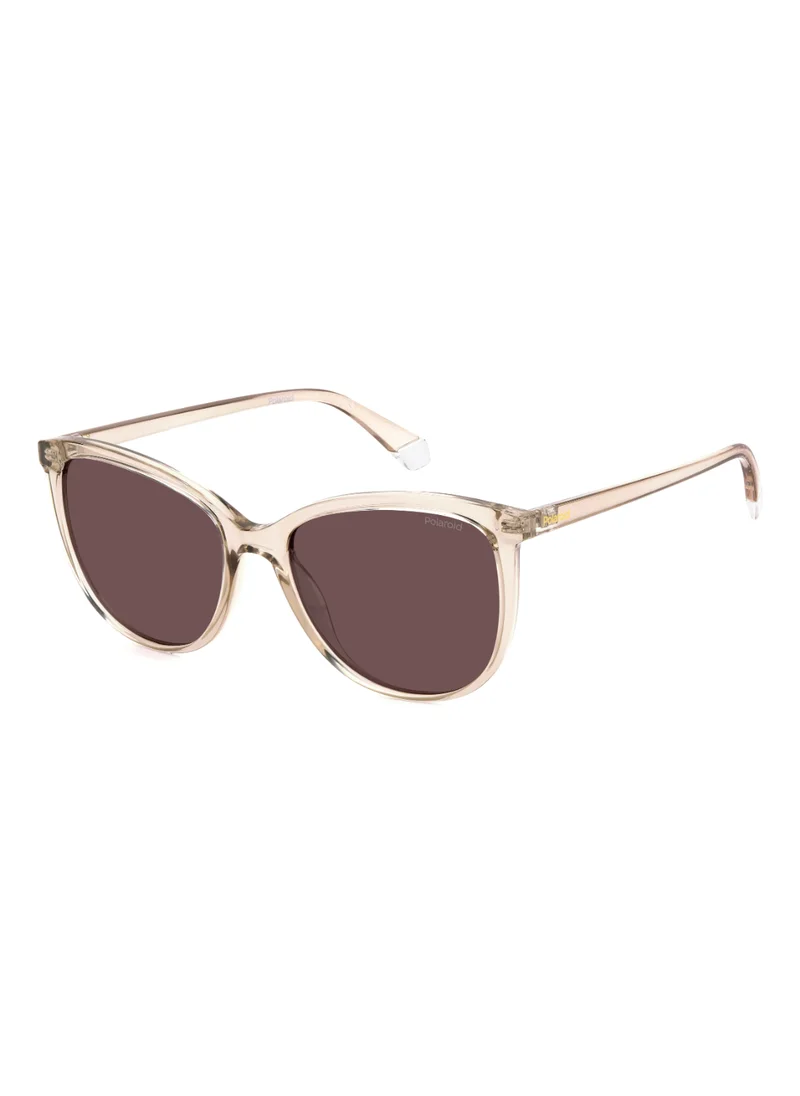 بولارويد Rectangular Polaroid Sunglasses Frames