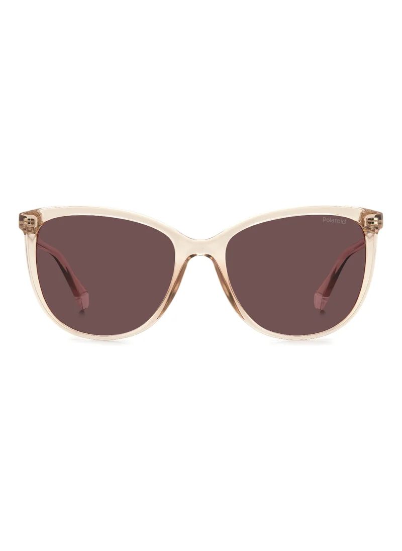 بولارويد Rectangular Polaroid Sunglasses Frames