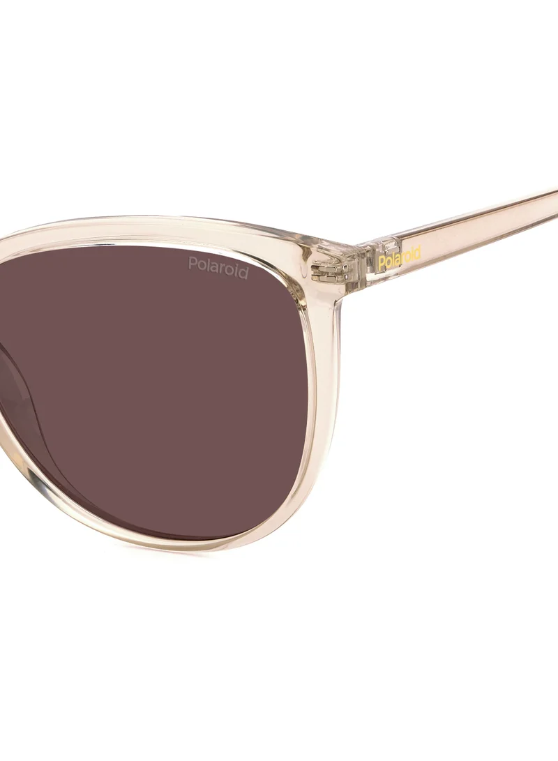 Polaroid Rectangular Polaroid Sunglasses Frames