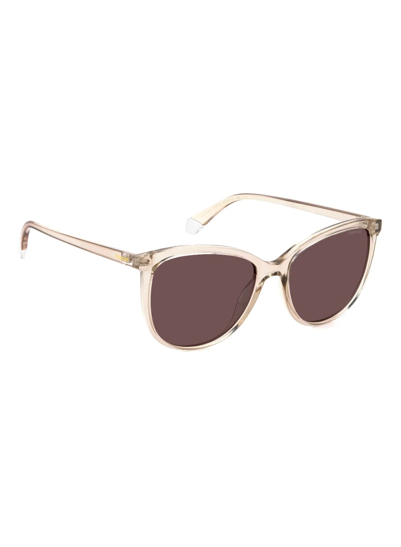 Polaroid Rectangular Polaroid Sunglasses Frames