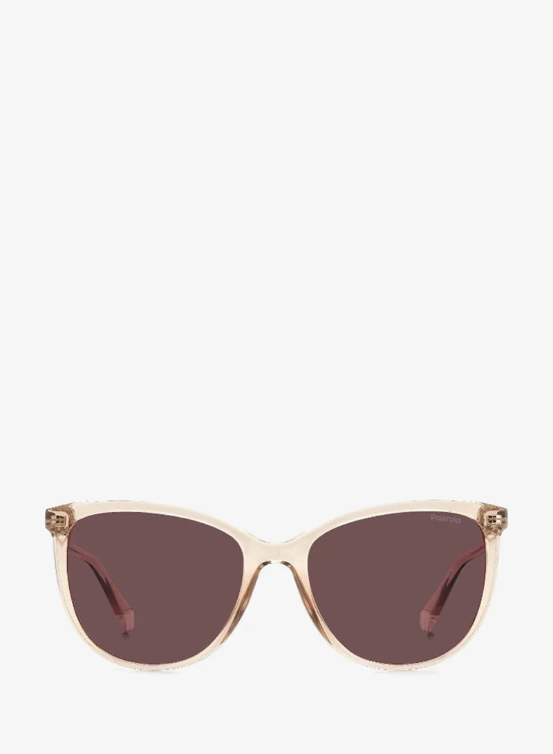 Rectangular Polaroid Sunglasses Frames