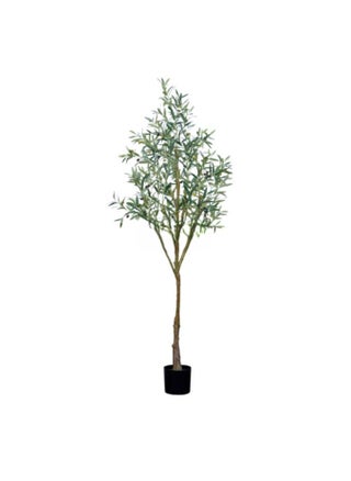 Olive tree 180cm - green - pzsku/ZCAF3D531ECEAF93EC5E3Z/45/1747813410/812e6c0f-293b-4fc0-8cad-c9d117b542a0