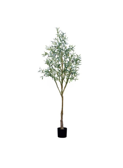 Olive tree 180cm - green