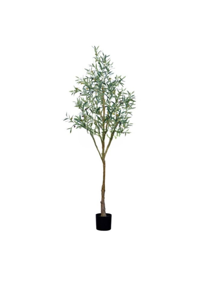 HRT WALL Olive tree 180cm - green 