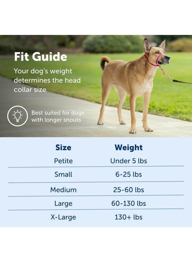 بيت سيف طوق رأس الكلب PetSafe Gentle Leader No-Pull - الحل الأمثل للسحب - يُعيد توجيه سحب كلبك لتسهيل المشي - يساعدك على استعادة السيطرة - متوسط، بني فاتح - Image 5