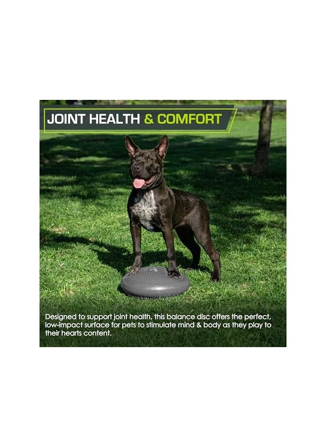 ProSourceFit - Core Balance Disc Trainer, 14” Diameter With Pump For Improving Posture, Fitness, Stability - Image 1