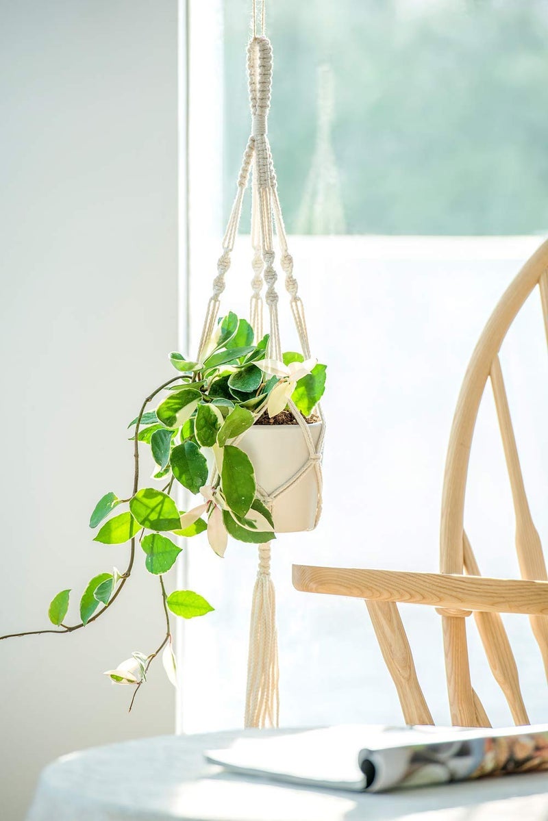 Coir garden Macrame Plant Hanger Indoor Outdoor Hanging Planter Basket Cotton Rope (Pot not Included)-4 Legs- 41 inch Contemporary Hanger - Pack of 5 - Image 4