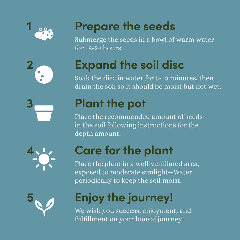 Planters' Choice Bonsai Starter Kit - Gardening Gift for Women & Men - Bonsai Tree Growing Garden Crafts Hobby Kits for Adults, Unique DIY Hobbies for Plant Lovers - Unusual Christmas Gifts Ideas - or Gardener Mother  - Image 5