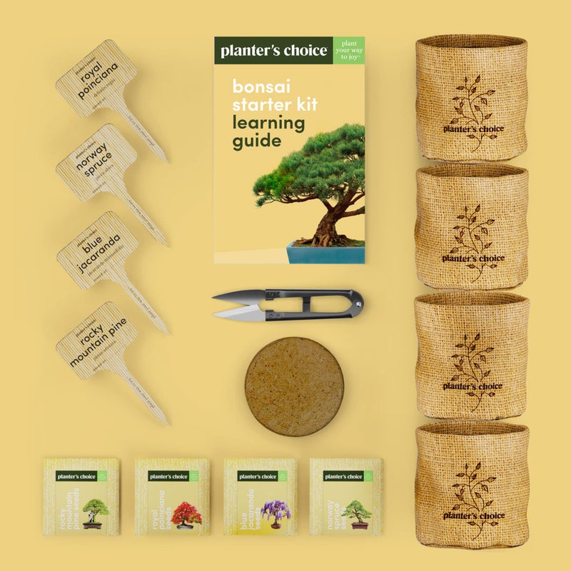 Planters' Choice Bonsai Starter Kit - Gardening Gift for Women & Men - Bonsai Tree Growing Garden Crafts Hobby Kits for Adults, Unique DIY Hobbies for Plant Lovers - Unusual Christmas Gifts Ideas - or Gardener Mother  - Image 4