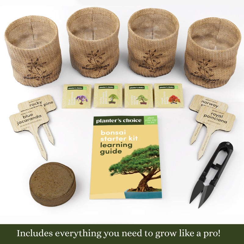 Planters' Choice Bonsai Starter Kit - Gardening Gift for Women & Men - Bonsai Tree Growing Garden Crafts Hobby Kits for Adults, Unique DIY Hobbies for Plant Lovers - Unusual Christmas Gifts Ideas - or Gardener Mother  - Image 2