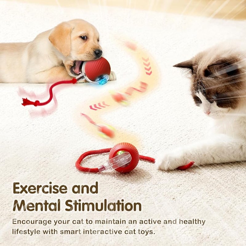 Interactive Self Rolling Cat Toy Ball Automatic Moving Pet Toy 2 Pcs - Image 5