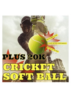 CA CA Plus 20K Cricket Soft Ball pack of 3  - Image 4