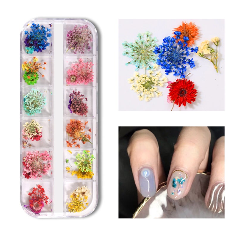 Pressed Dried Flowers: 12 Colors Natural Plant Petals - Handpicked & Humidity Protected for Nail Art, DIY Crafts, Resin Jewelry - Image 1