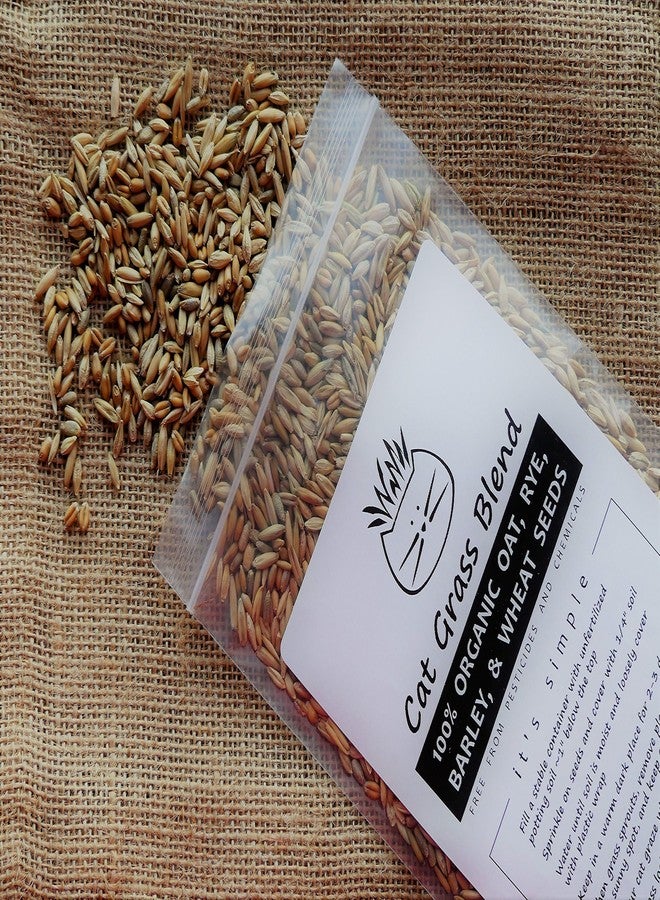 Crafted-Brand Simple Cat Grass Blend | 100% US Organic + 4 Popular Seeds | Wheat, Barley, Oats, Rye Mix Combo | Show Your Love with a Healthy Pet Snack Treat (6 Ounce ~4800 Seeds) - Image 2