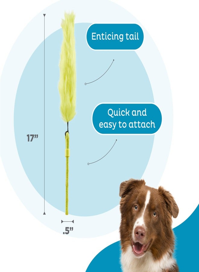 Outward Hound Replacement Tails for Tail Spinner Dog Chase Toy - Image 3