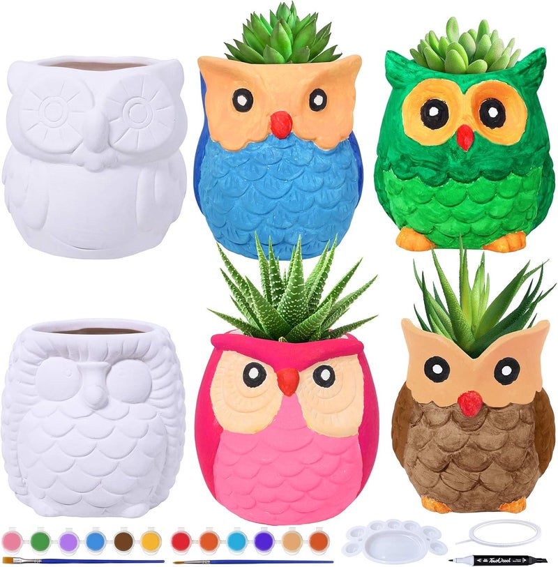 Winlyn 6 Sets DIY Ceramic Owl Succulent Pots Paint Craft Kit Unpainted Ceramic Bisque Owl Flowerpots with Drainage Hole Ready to Paint for Kids Classroom Craft Project Activity - Image 1