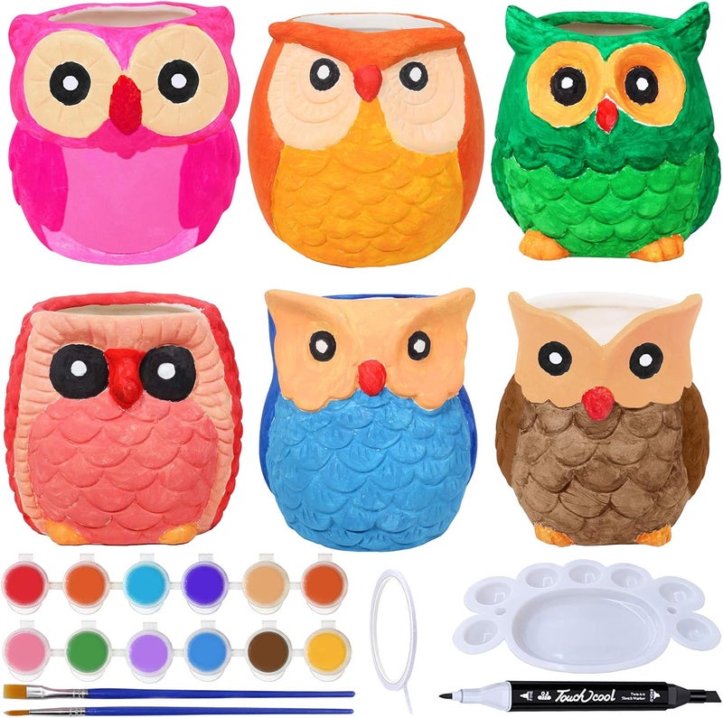 Winlyn 6 Sets DIY Ceramic Owl Succulent Pots Paint Craft Kit Unpainted Ceramic Bisque Owl Flowerpots with Drainage Hole Ready to Paint for Kids Classroom Craft Project Activity - Image 2