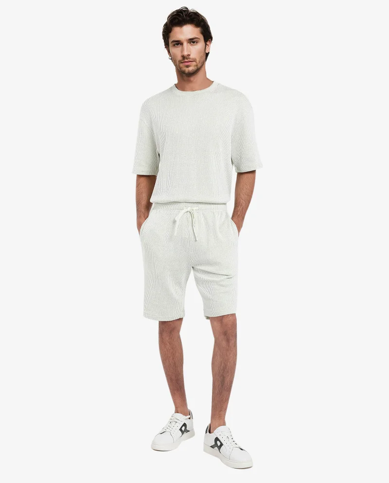 Rare Rabbit Rare Rabbit Men's Zavet-B Light Green Cotton Polyester Fabric Knee Length Regular Fit Self Stripe Textured Shorts