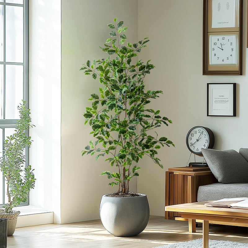 Bailikang Artificial Ficus Tree Indoor 5ft, Large Potted Faux Tree with Realistic Silk Leaves & Trunk for Home Office, Living Room Corner Decor - Image 1