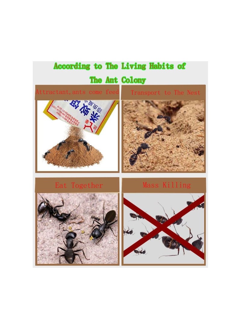 Generic 10-Bags Powerful Ant Bait Agent, Special Effect Indoor and Outdoor Low Toxicity and Odorless Bait Powder  - Image 4