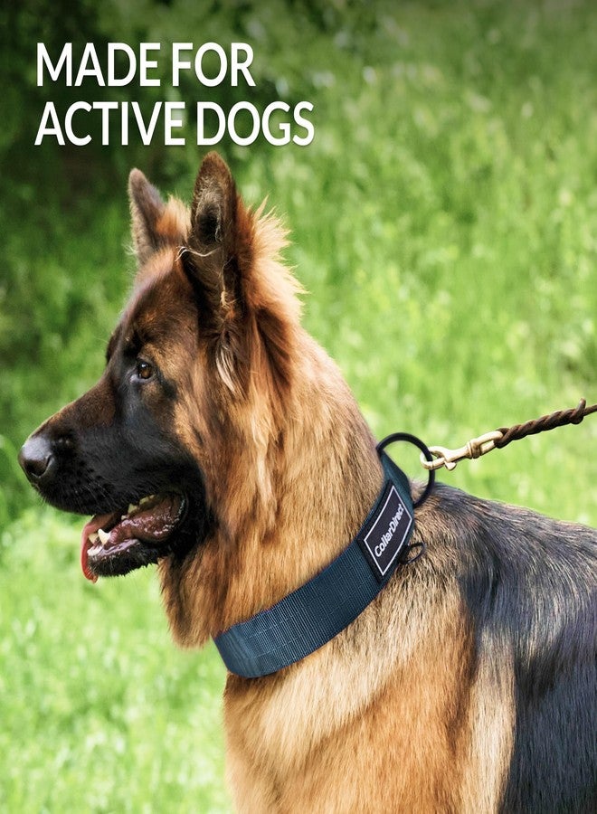 CollarDirect Heavy Duty Dog Collar for Large or Medium Dogs, Adjustable Strong Dog Collar for Active Dogs, Double-Layered Nylon (Dark Blue, 11-15) - Image 2