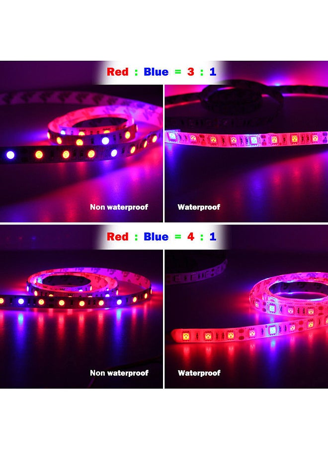 Generic - 5 M LED Phyto Lamps Full Spectrum LED Strip Light 300 LEDs 5050 Chip LED Grow Lights For Greenhouse Hydroponic Plant 5:1 IP65 Waterproof - Image 1